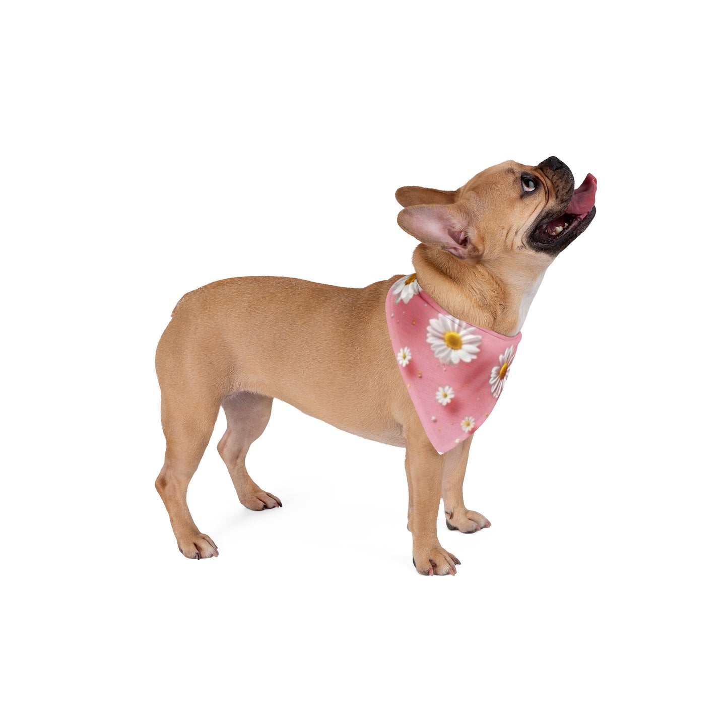Daisy Pink Pet Bandana — Floral Triangle Scarf for Dogs & Cats